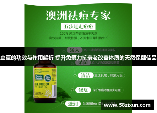 虫草的功效与作用解析 提升免疫力抗衰老改善体质的天然保健佳品